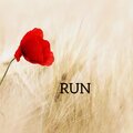 サラシナルカ、Hoàng Dũng - Run