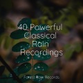 Deep Sleep Brown Noise、Relaxing Nature Sounds Collection、Echoes Of Nature - Light Rains