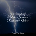 Zona Música Relaxante、Trouble Sleeping Music Universe、Master Meditação - Playful Stream