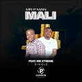Mr P Man、Mr Xtreme - Mali (feat. Mr Xtreme)