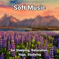 Relaxing Music by Dominik Agnello、Relaxing Spa Music、Yoga - Soft Music Pt. 24