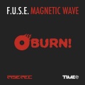 Magnetic Wave