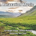 Relaxing Music by Dominik Agnello、Relaxing Spa Music、Yoga - Relaxation Music, Pt. 43