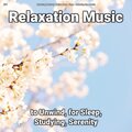Relaxing Music by Melina Reat、Relaxing Spa Music、Yoga - Relaxation Music, Pt. 19