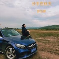 郭功辉 - 分手在秋天