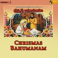 Bala Raj、Deva Kumari、Meri、Radha Mathyus、swarnalatha、N. Dasu Babu - Christmas Nedu