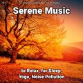 #01 Serene Music to Relax, for Sleep, Yoga, Noise Pollution