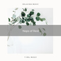 4D Nature Recordings - Clear Recharge of Forest Tunes pt. 1