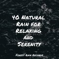 Meditation Relaxation Club、Water Soundscapes、Sons da Natureza & Relaxamento - Tin Roof Rain