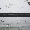Sonidos De Pajaros、Ruido Del Sueno、Musica Relajante Para Dormir - Paloma