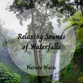 Dog Music Bliss、The Nature Soundscapes、Music for Work - Powerful Stream
