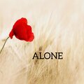 サラシナルカ、Hoàng Dũng - Alone