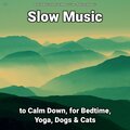 Relaxing Music by Dominik Agnello、Relaxing Spa Music、Yoga - Slow Music, Pt. 42