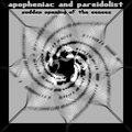 Apopheniac、Pareidolist - Panic Attacks