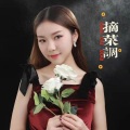 王甜 - 摘菜调