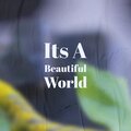 Its A Beautiful World
