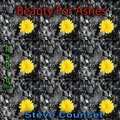 Steve Counsel - Beauty For Ashes (Radio Edit)