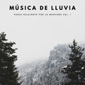 Música De Lluvia: Paseo Relajante Por La Montaña Vol. 1