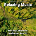 Relaxing Music by Dominik Agnello、Yoga、Relaxing Spa Music - Relaxing Music for Your Body