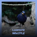 david houston、Tammy Wynette、David Houston & Tammy Wynette - My Elusive Dreams