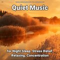 Relaxing Music by Dominik Agnello、Relaxing Spa Music、Yoga - Yoga Music to Focus