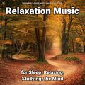 Relaxing Music by Dominik Agnello、Relaxing Spa Music、Yoga - Healing Yoga Music to Put Your Baby to Sleep