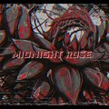The Gold Activist、home genesis、Danny Bee - Midnight Rose (feat. Home Genesis & Danny Bee)(Explicit)