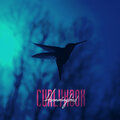 Curly Hook - Hummingbird