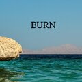 サラシナルカ、Hoàng Dũng - Burn