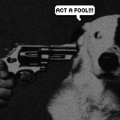 ACT A FOOL (Explicit)