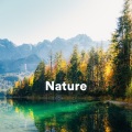 Naturgeräusche für Entspannung und Erholung、La Naturaleza Del Sueño、Musique Coeur de la Nature - Ambiance and Sounds of a Typical Summer Night in the Country Side