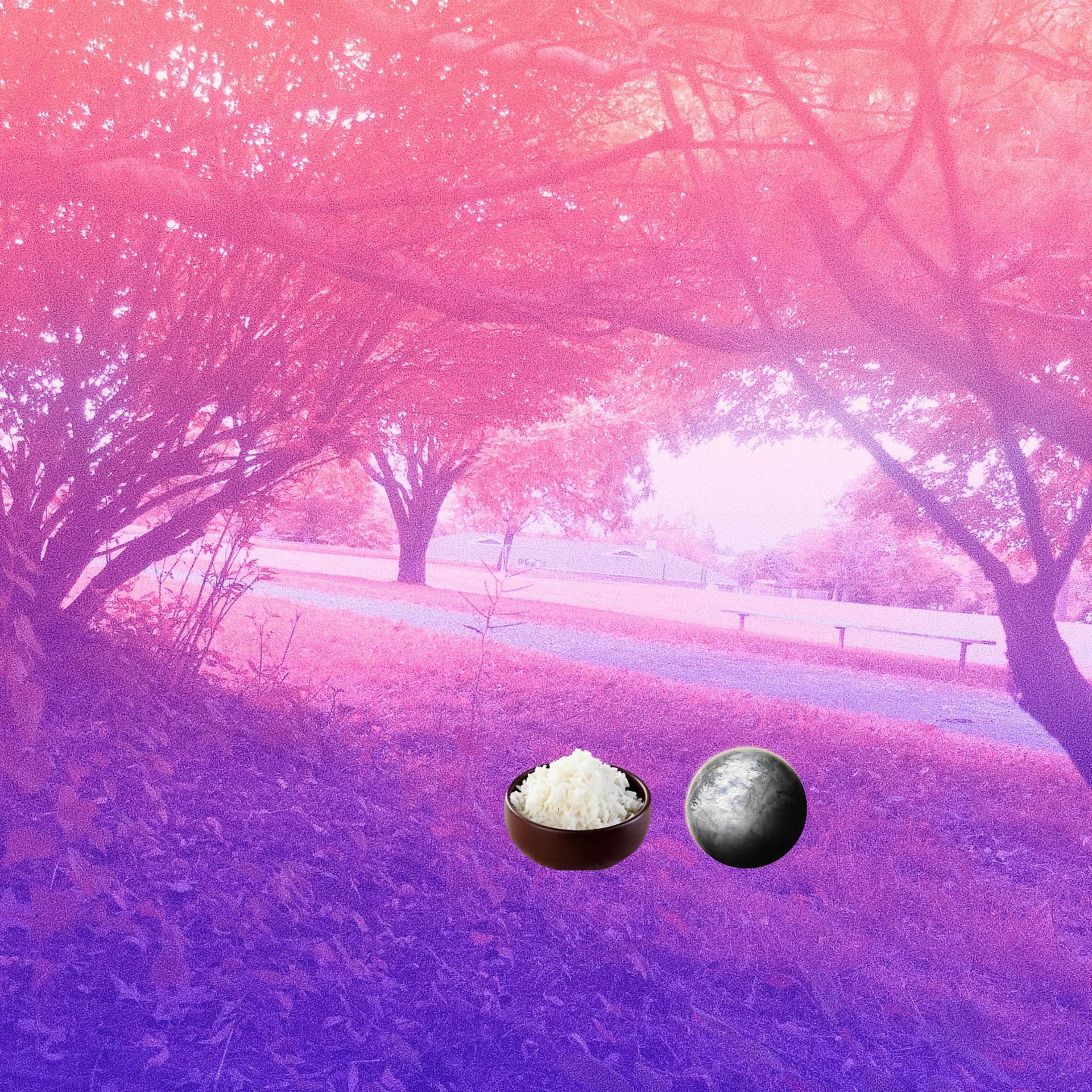 riceinabowl、Pluto - Summer (feat. riceinabowl)(Explicit)