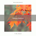 Soothing Nature Sounds - 