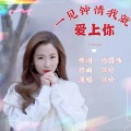 一见钟情我就爱上你 (DJ版)