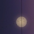 诩柒七 - 轨迹