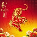 丹冬子 - 2022虎年