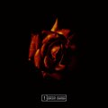 Yovng Arda、Arda Sharafi、Deyvaan、Ashkan Kagan、Weirdmahdi - SORKH