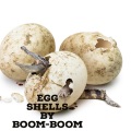 Boom Boom - Egg Shells (Explicit)