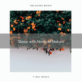 Life Sounds Nature - 