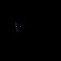 Kristian Vuljar - The Night