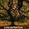 Shaffer Smith - Interpretation