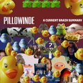 Pillowinde - A Current Brain Summary