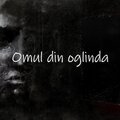 Vlad Cojan - Omul din oglinda