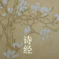 左右成妍 - 关雎 (《诗经·国风·周南·关雎》)