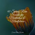 Echoes Of Nature、Sonidos de lluvia para dormir、Namaste Healing Yoga - Hydrophonic Rains