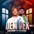 Dem Vex (Binu) (Afrobeat)