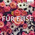 Für Elise