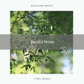 Nature Ambience - Reach Unique Relax with Soothing Nature Noises for Calm down pt. 2
