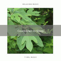 Nature Noise - Birds Noise and Soothing Meadow Music pt. 1