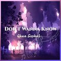 Chan Sophal - Don't Wanna Know